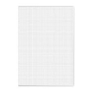 FOLHA ALMAÇO QUADRICULADA 0,5CM COM 10 FOLHAS